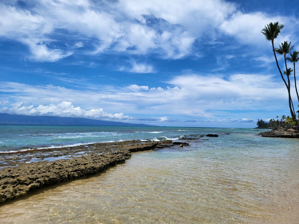 Tropical beach with clear turquoise water, rocky outcropping, palm trees, and blue sky with white clouds