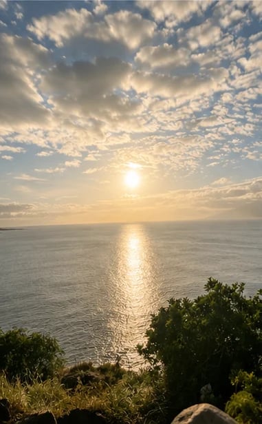 Sunset over calm ocean with sun reflecting on water, golden sky with clouds, coastal vegetation in foreground